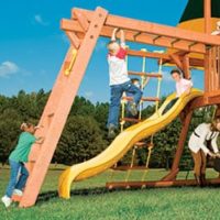 Monkey Climber