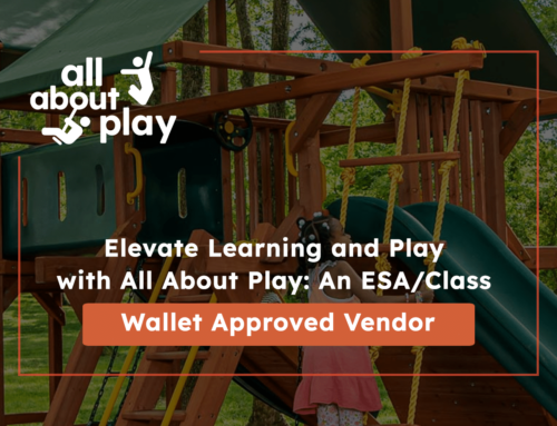 Elevate Learning and Play with All About Play: An ESA/Class Wallet Approved Vendor