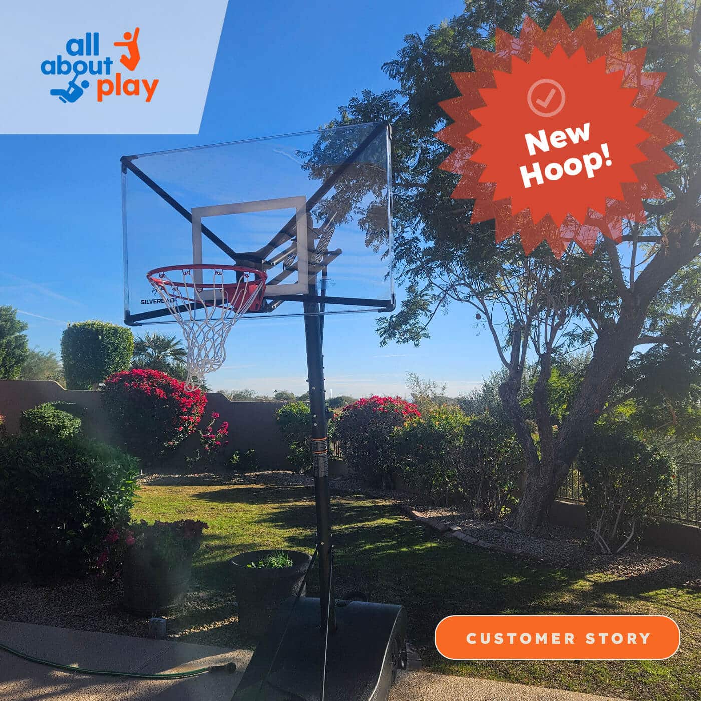 Handler Basketball Hoop All About Play Mesa, AZ