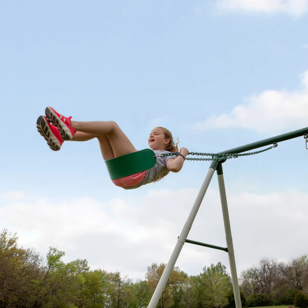 Big Brutus Heavy-Duty Metal A-Frame Swing Set - Image 4