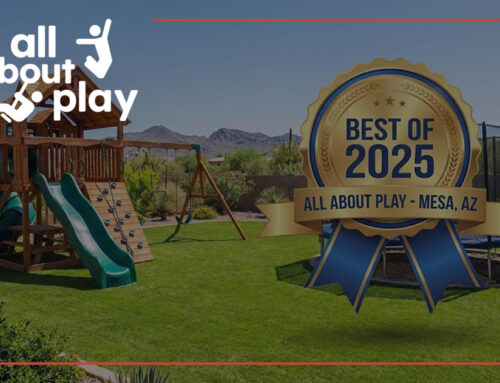 All About Play Named Best Playground Equipment Supplier of 2025